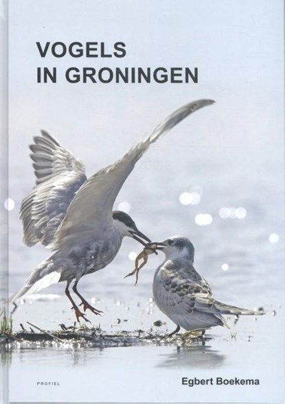 Vogels in Groningen, Egbert Boekema - Paperback - 9789052945873