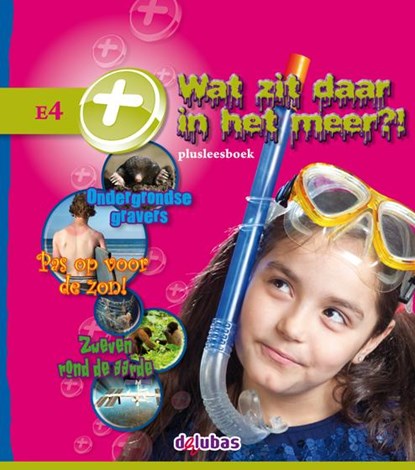 Plusleesboek E4, Cëcile Bolwerk ; Joke Reijnders ; Lizzy van Pelt ; Anneriek van Heugten ; Bianca Mastenbroek ; Peter Vervloed - Gebonden - 9789053004906