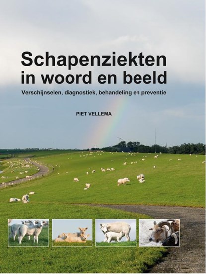 Schapenziekten in woord en beeld, Piet Vellema - Gebonden - 9789053220566