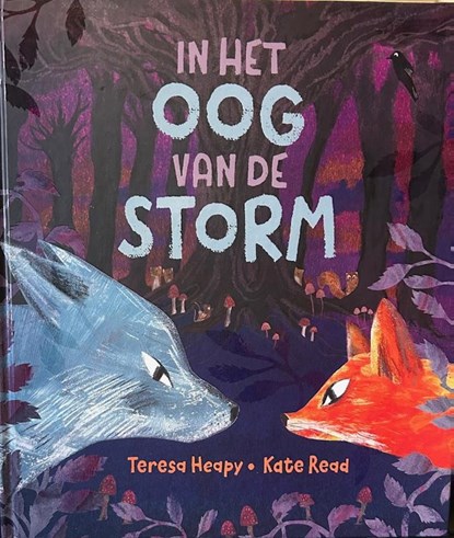 In het oog van de storm, Teresa Heapy - Gebonden - 9789053418758