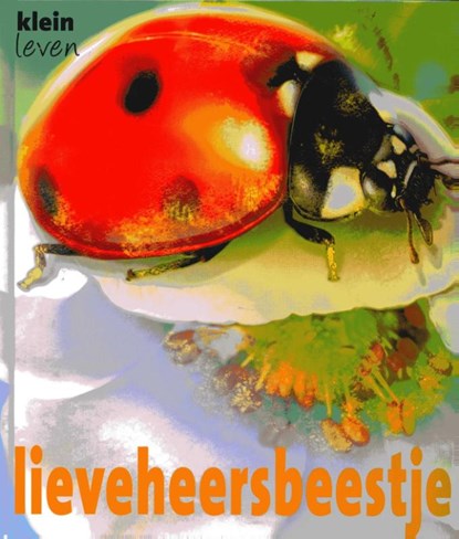Lieveheersbeestje, Lynette Evans - Gebonden - 9789053419175