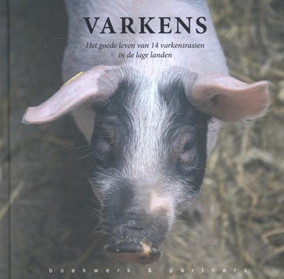 Varkens, Jinke Hesterman - Gebonden - 9789054022879