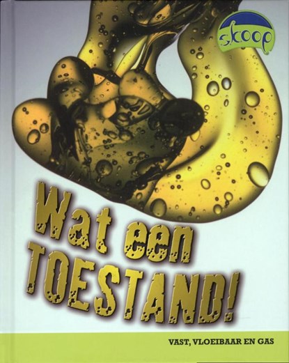 Wat een toestand, Buffy Silverman - Gebonden - 9789054832980