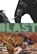 Blast 2 : De openbaring van Sint-Jacky, Manu Larcenet - Gebonden - 9789054923190