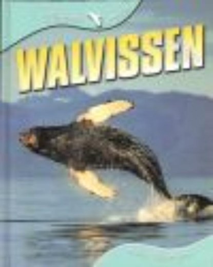 Walvissen, Sally Morgan - Gebonden - 9789054958406