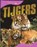 Tijgers, Sally Morgan - Gebonden - 9789054958604