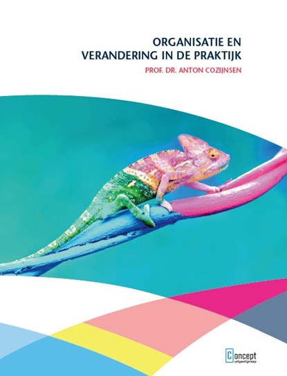 Organisatie en verandering in de praktijk, Anton Cozijnsen - Paperback - 9789055163076