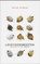 LieveHeersbeesten, VERBREE, A. - Paperback - 9789055604135