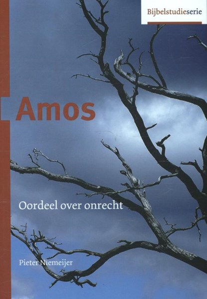 Amos, Pieter Niemeijer - Paperback - 9789055604937