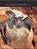 De levenscyclus van reptielen, Mike Unwin - Gebonden - 9789055660469