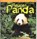Reuzenpanda, Rod Theodorou - Gebonden - 9789055661084