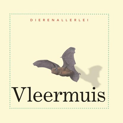 Vleermuis, Ting Morris - Gebonden - 9789055662104