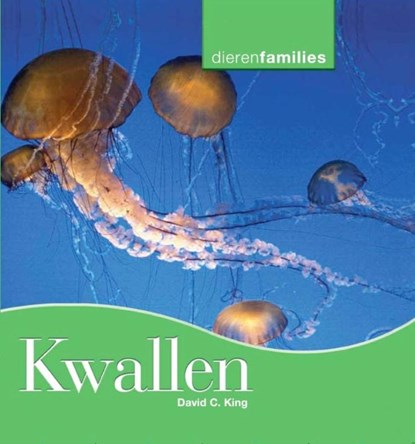 Kwallen, David C. King - Gebonden - 9789055663101