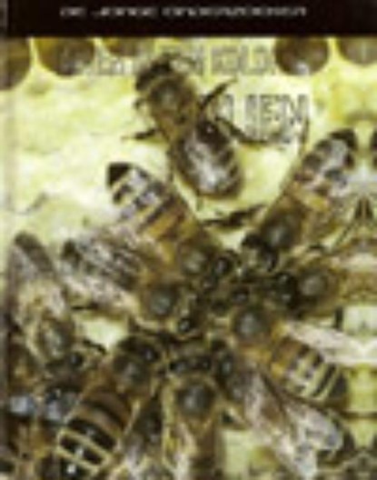 Leven in een kolonie bijen, R. Spilsbury ; L. Spilsbury - Gebonden - 9789055663743