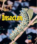 Insecten | Rod Theodorou | 