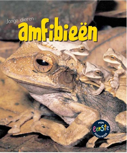 Amfibieen, Rod Theodorou - Gebonden - 9789055665327
