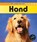 Hond, Angela Royston - Gebonden - 9789055667062
