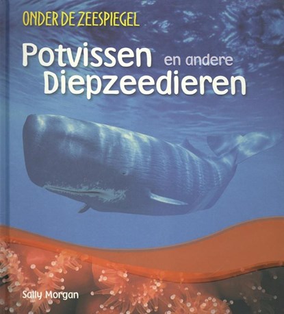 Potvissen en andere diepzeedieren, Sally Morgan - Gebonden - 9789055667109