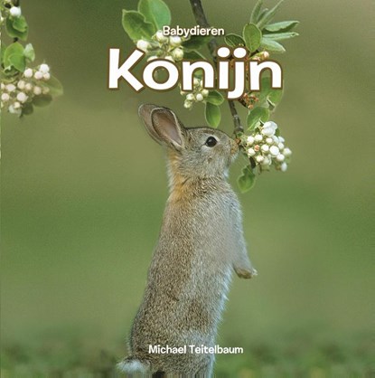Konijn, Michael Teitelbaum - Gebonden - 9789055667734