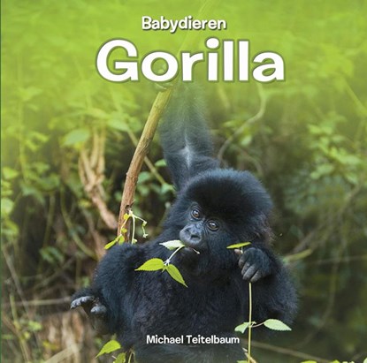 Gorilla, Michael Teitelbaum - Gebonden - 9789055667741