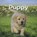 Puppy, Michael Teitelbaum - Gebonden - 9789055667819