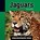 Jaguars, David Huntrods - Gebonden - 9789055669660