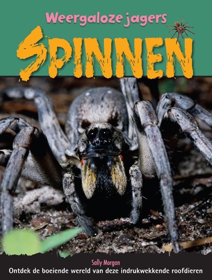 Spinnen, Sally Morgan - Gebonden - 9789055669776