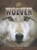 Wolven, Sally Morgan - Gebonden - 9789055669929