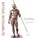 Olympische Spelen, C. Hupperts - Gebonden - 9789055739134