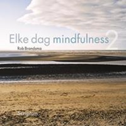 Elke dag meer mindfulness, Rob Brandsma - Gebonden - 9789055942978