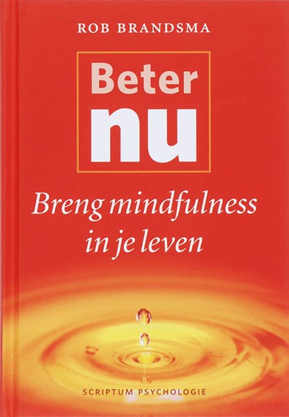 Beter nu, Rob Brandsma - Gebonden - 9789055945580