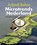 Microtrends Nederland, Adjiedj Bakas - Gebonden - 9789055946402