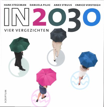 In 2030, Hans Stegeman ; Danijela Piljic ; Anke Struijs ; Enrico Versteegh - Gebonden - 9789055948505