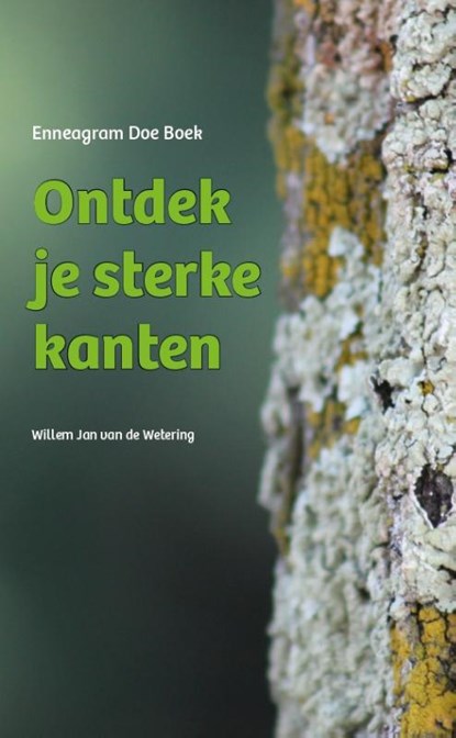 Ontdek je sterke kanten, Willem Jan van de Wetering - Paperback - 9789055993390