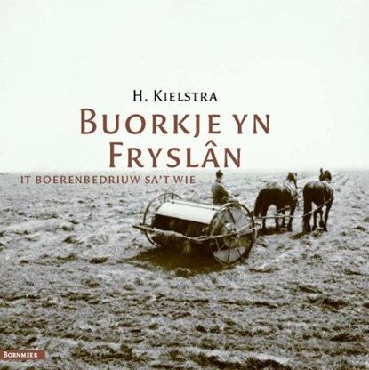 Buorkje yn Fryslân, H. Kielstra ; F. Kielstra - Paperback - 9789056151942