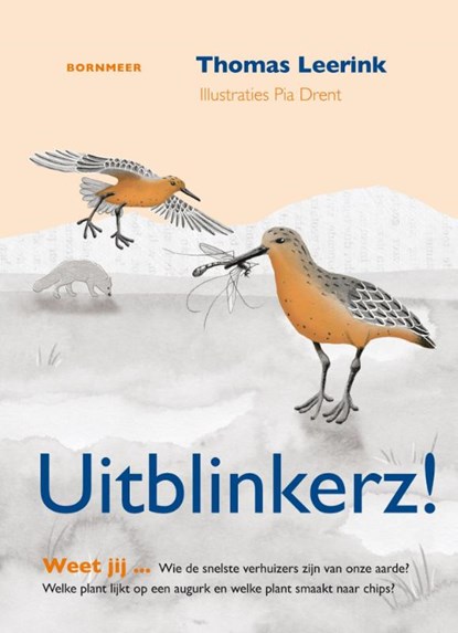 Uitblinkerz!, Thomas Leerink - Gebonden - 9789056153724
