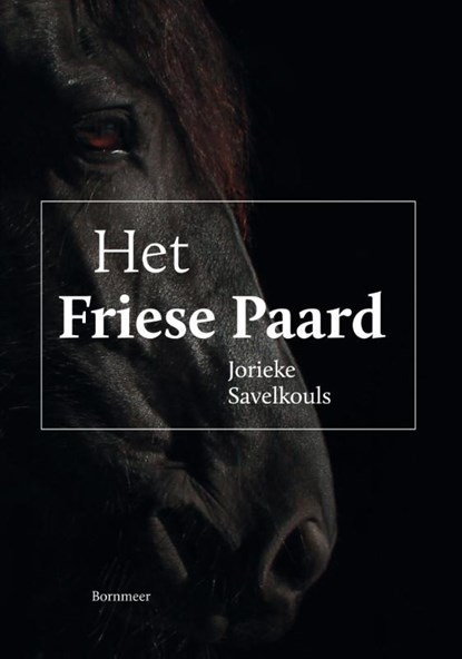 Het Friese paard, Jorieke Savelkouls - Paperback - 9789056153731