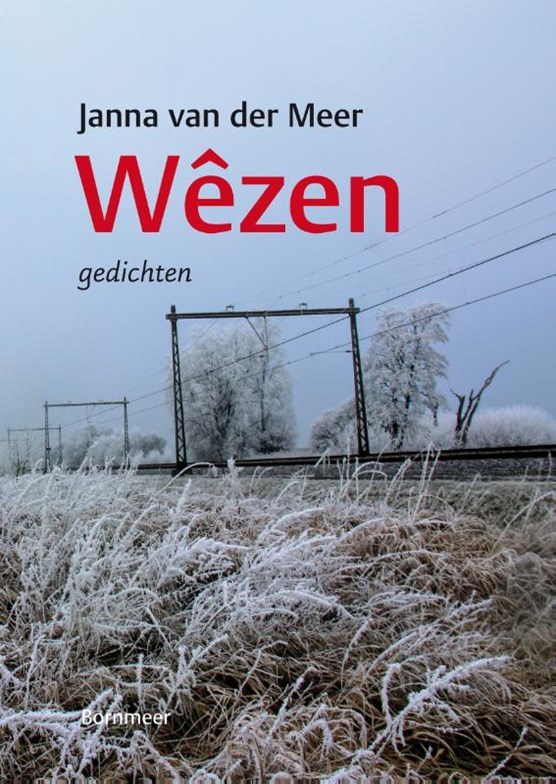 Wêzen