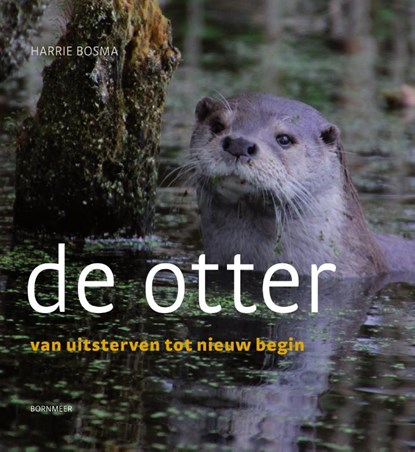 De otter, Harrie Bosma - Paperback - 9789056154660