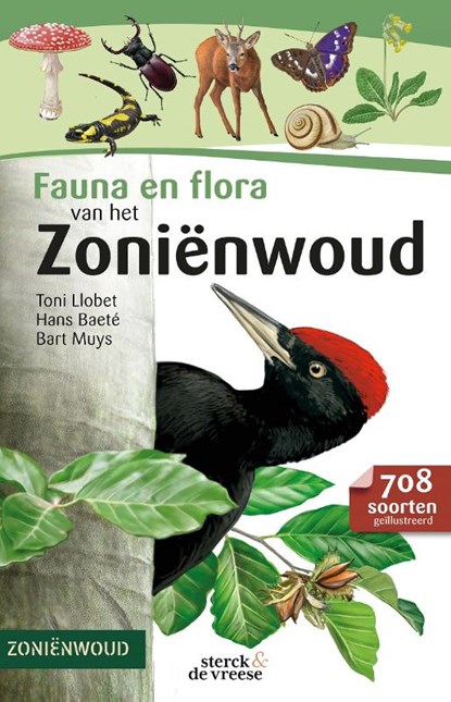 Fauna en Flora van het Zoniënwoud, Toni Llobet ; Hans Baeté ; Bart Muys - Paperback - 9789056155124