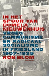 In het spoor van Domela Nieuwenhuis - Ron Blom - 9789056155698