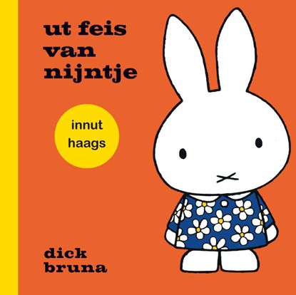 ut feis van nijntje innut haags, Dick Bruna - Gebonden - 9789056155773