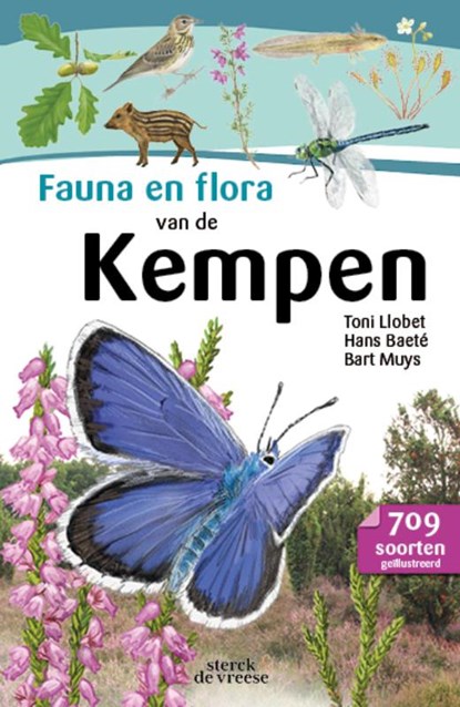 Fauna en flora van de Kempen, Bart Muys ; Hans Baeté ; Toni Llobet - Paperback - 9789056156077
