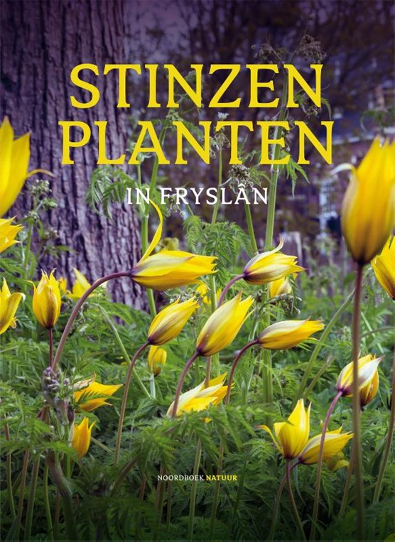 Stinzenplanten in Fryslân
