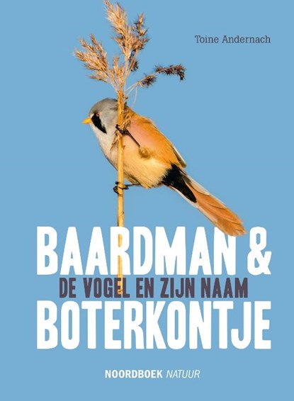 Baardman en boterkontje, Toine Andernach - Gebonden - 9789056156930