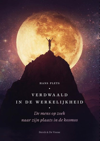 Verdwaald in de werkelijkheid, Hans Plets - Paperback - 9789056156961