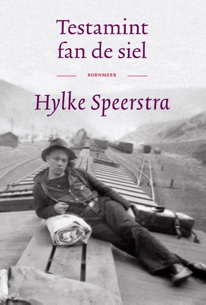 Testamint fan de siel, Hylke Speerstra - Gebonden - 9789056157630