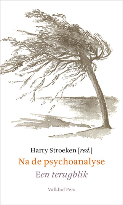 Na de psychoanalyse, Harry Stroeken - Paperback - 9789056254889