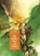 Het Gulden Vlies van Thule, Thea Beckman - Gebonden - 9789056379162
