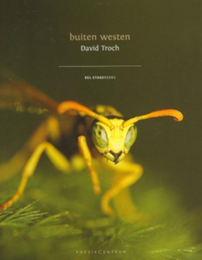 Buiten westen, David Troch - Paperback - 9789056551858